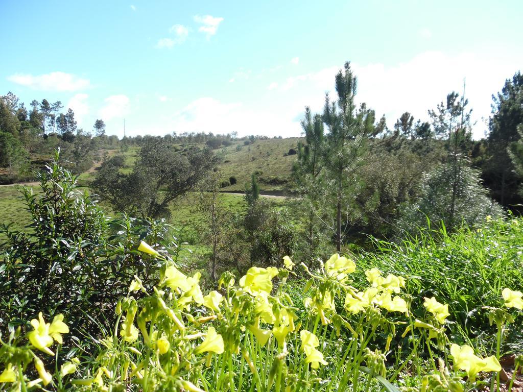Quinta Beldroegas -