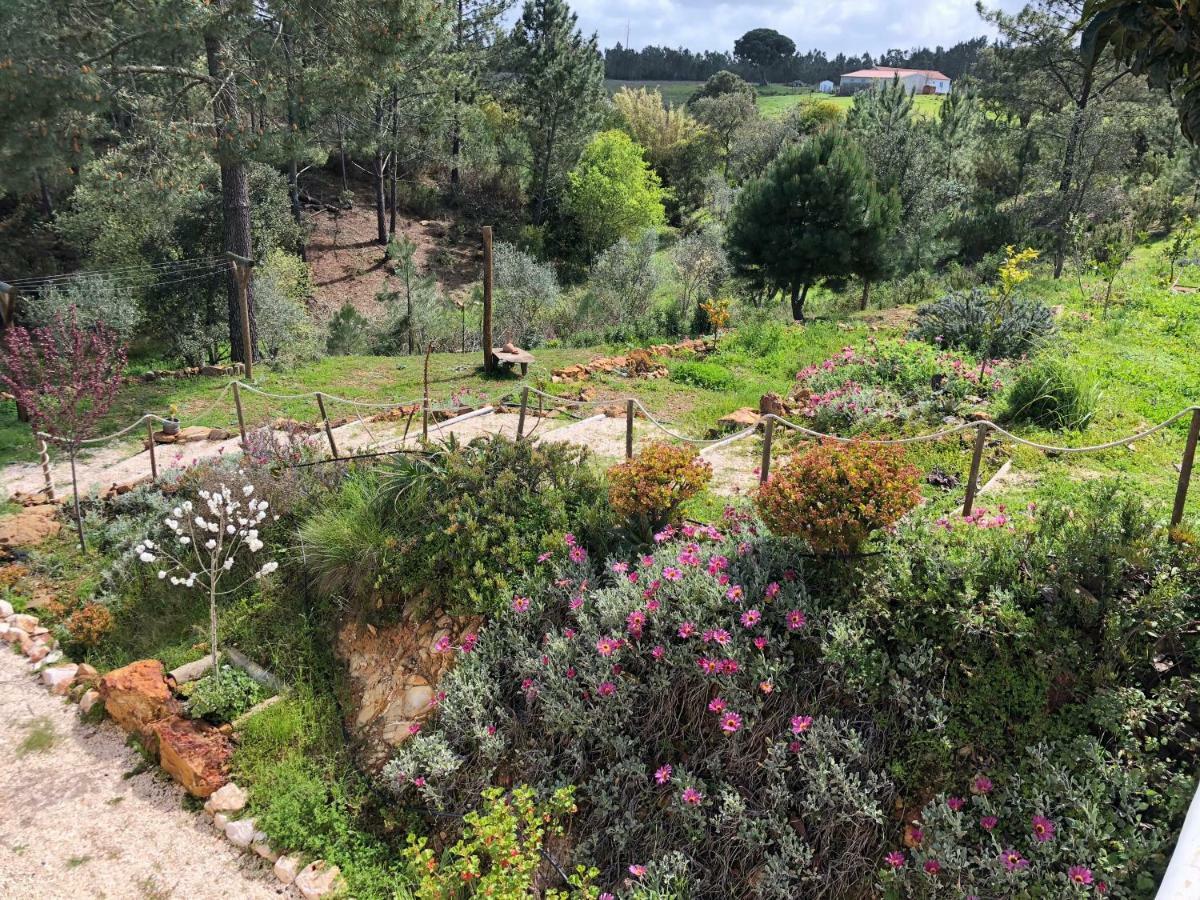 Country house Quinta Beldroegas - Sao Teotonio