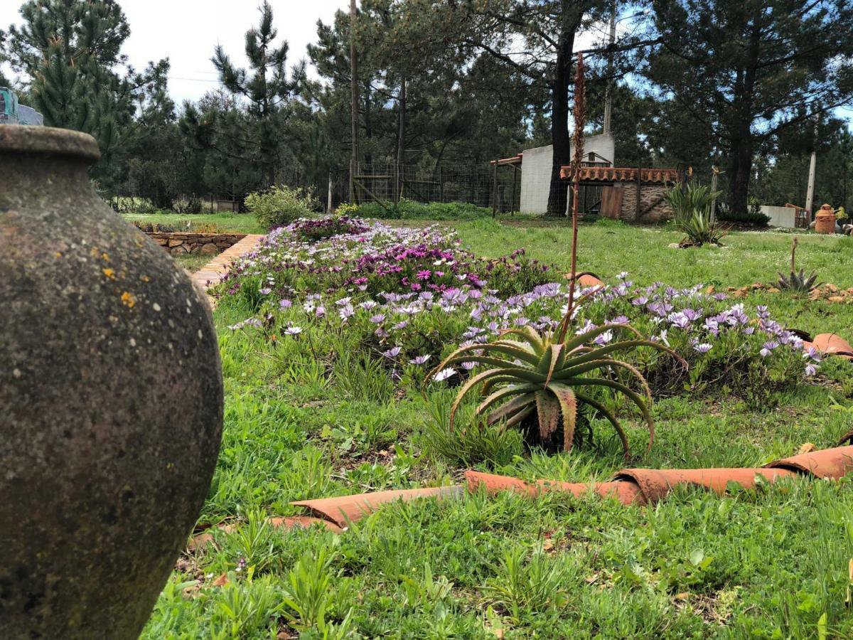 Quinta Beldroegas - *
