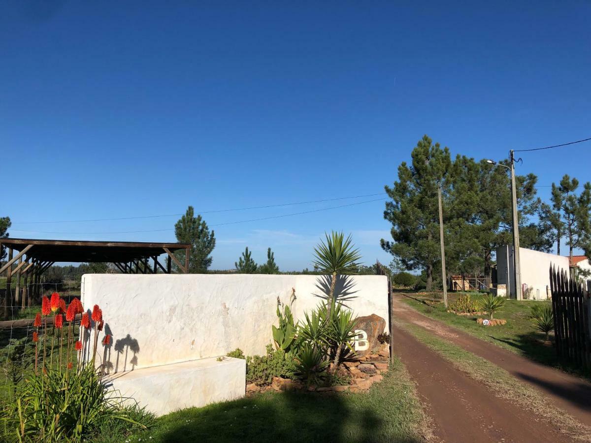 Quinta Beldroegas - Sao Teotonio
